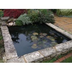 Pond Cleaning, Maintenance and Construction - [Surrey and London area]