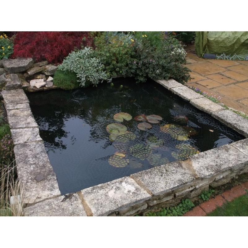 Pond Cleaning, Maintenance and Construction - [Surrey and London area]