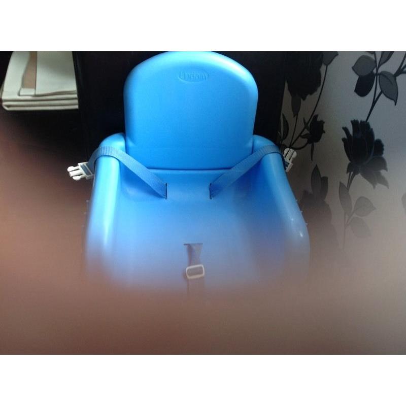 Child table booster seat