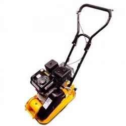 Compactor plate