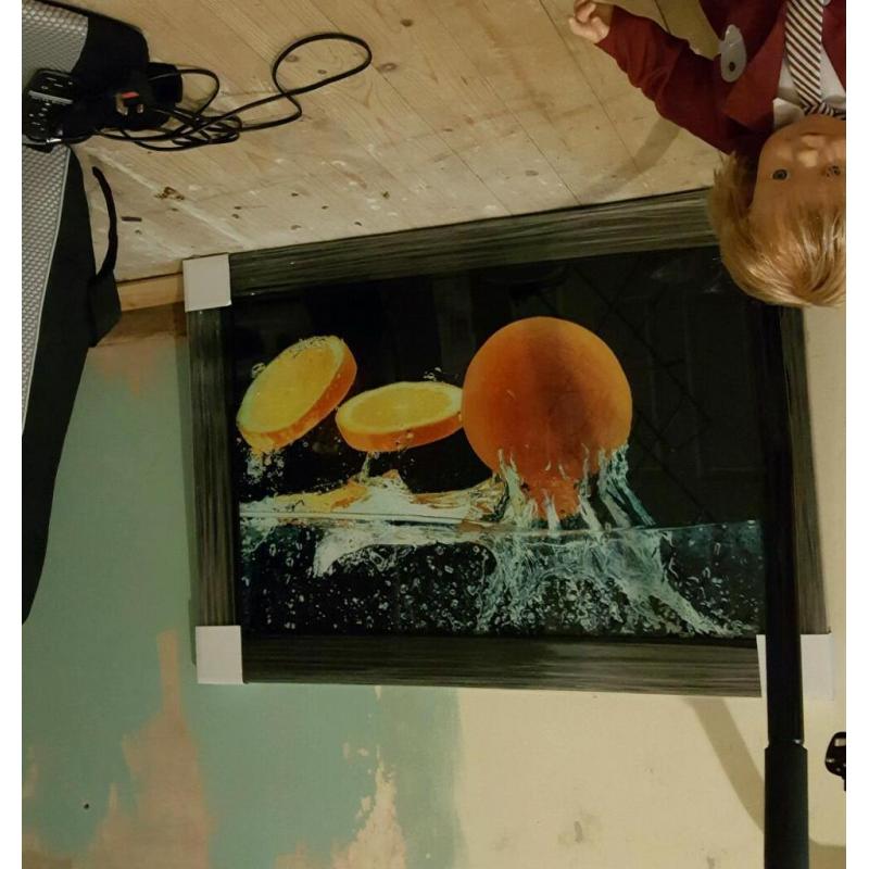 Large Oranges picture