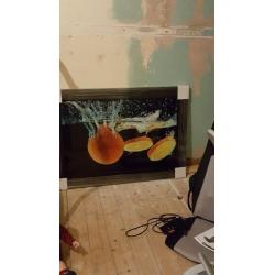 Large Oranges picture