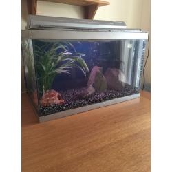 Fish tank