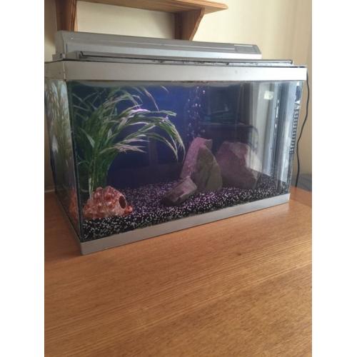 Fish tank
