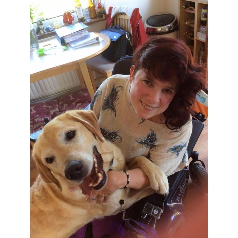 PA/carer wanted for Wednesday night cover