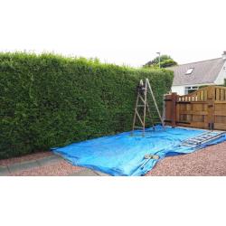 Reliable Garden Care