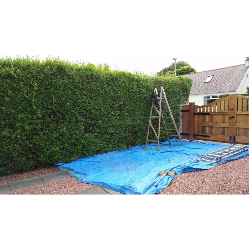 Reliable Garden Care