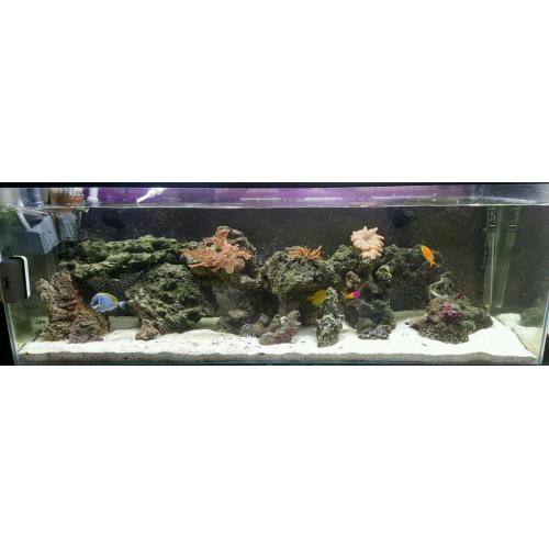 Marine Tank