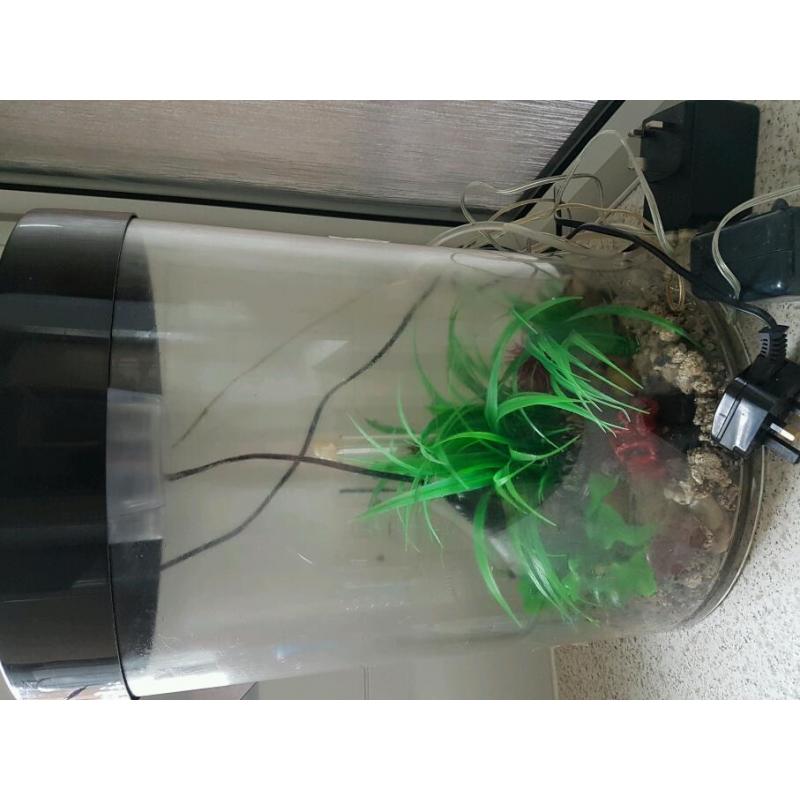 Fish tank with heater and bits