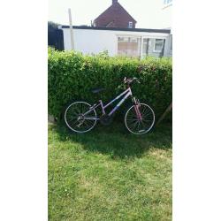 Bikes for sale