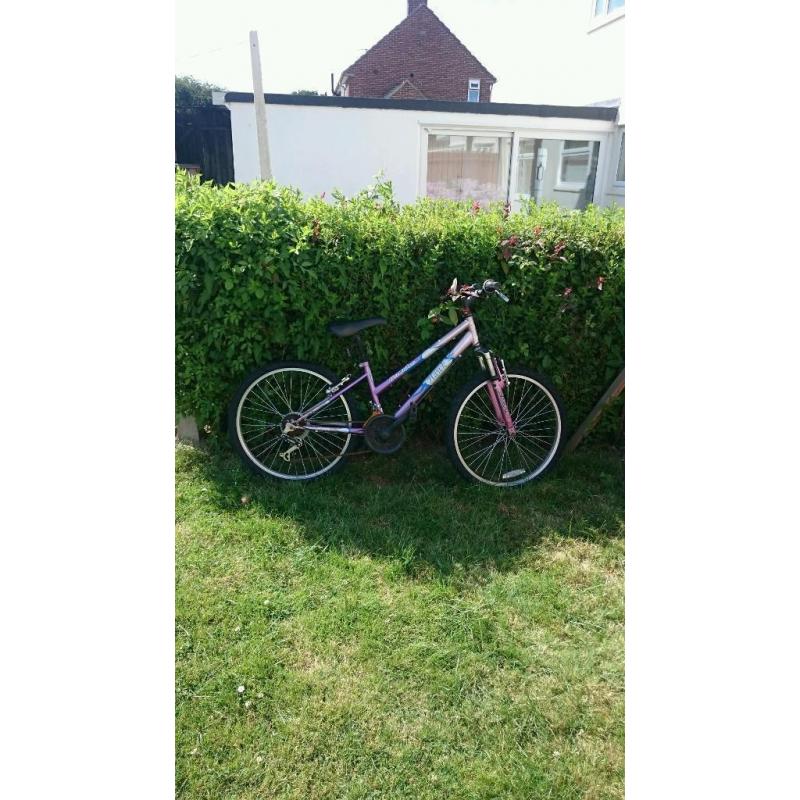 Bikes for sale