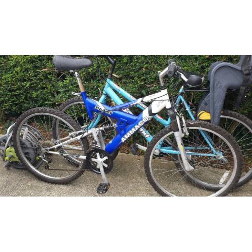 Mens Mountain Bike