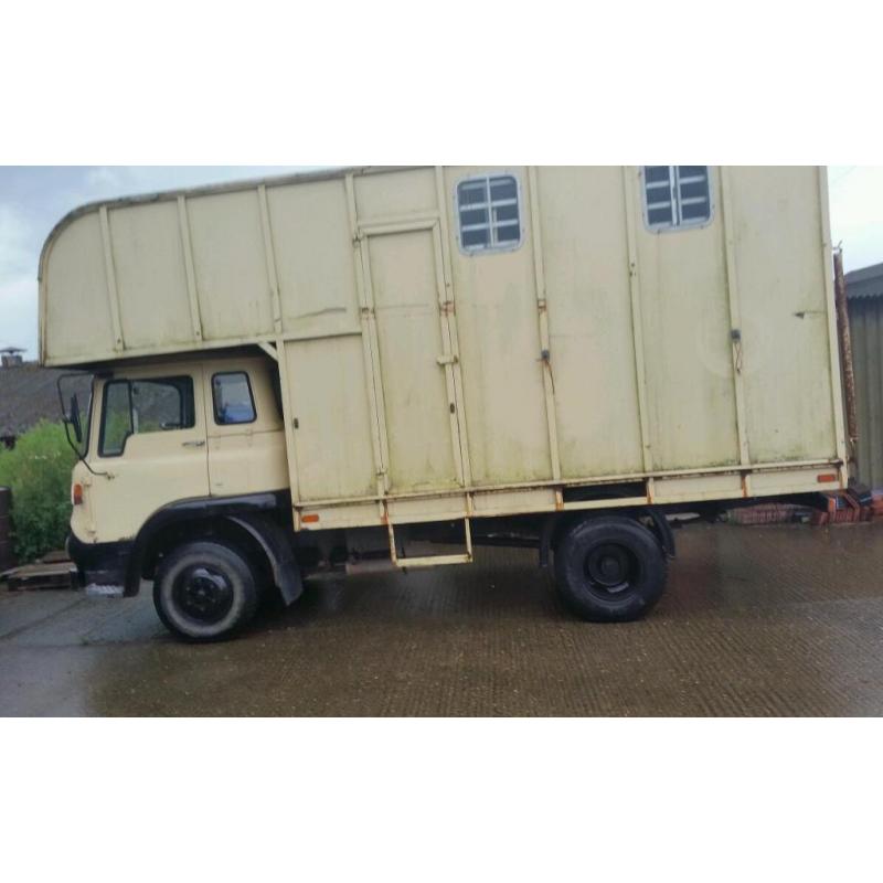 Horsebox back.