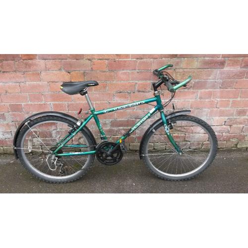 Raleigh 'ALIEN QUEST' - Kids' Bike