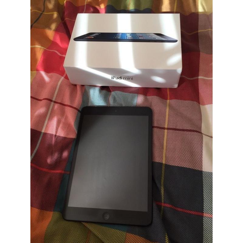 iPad mini black 16GB wifi