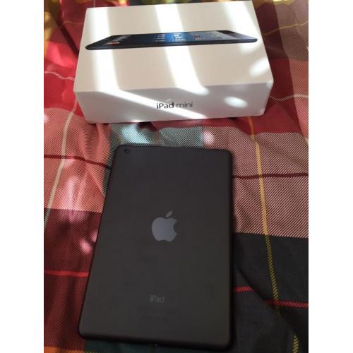 iPad mini black 16GB wifi
