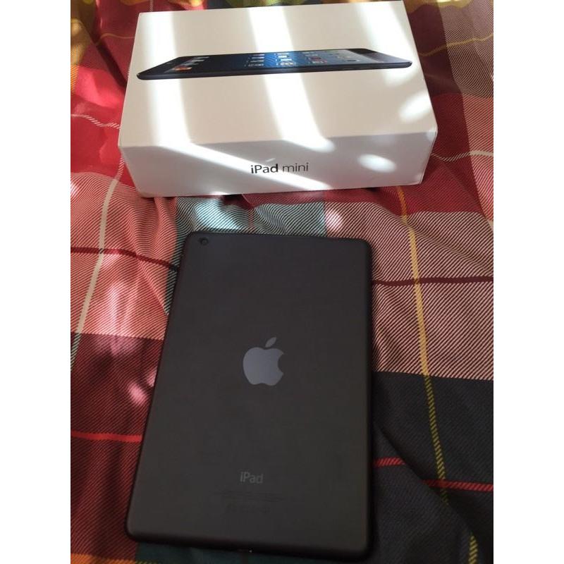 iPad mini black 16GB wifi