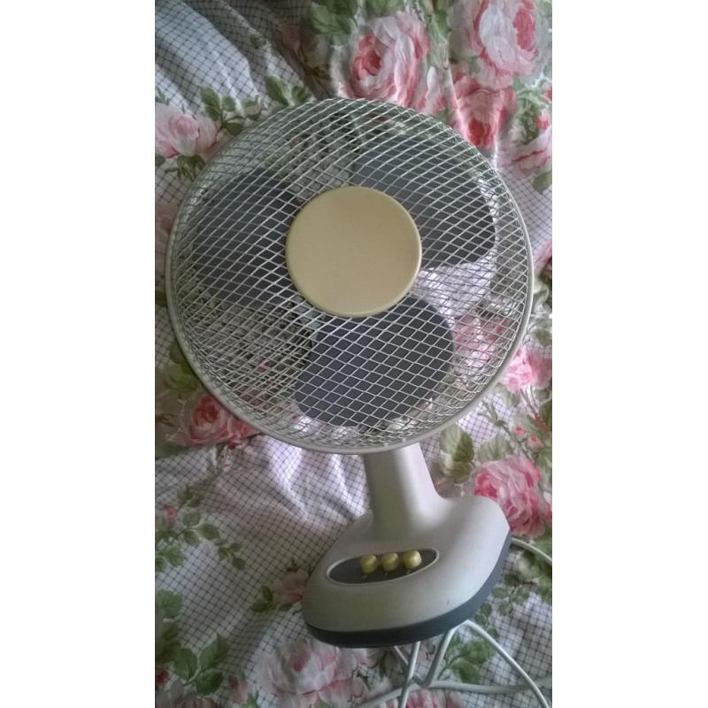 Oscillating Desk Fan