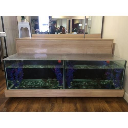 Stunning Twin Fish Pedicure Aquarium Spa