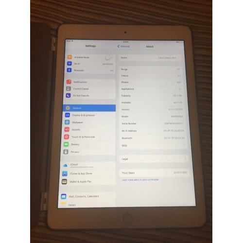 iPad Air 2 64GB (Amazing Condition)