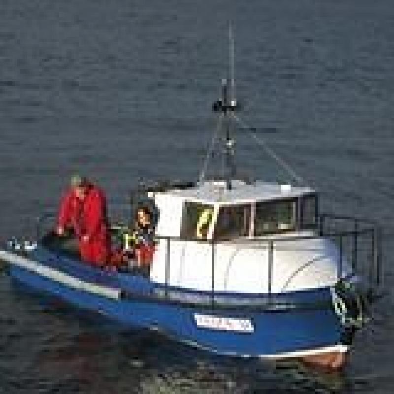 20 ft GRP Fishing Boat for Sale