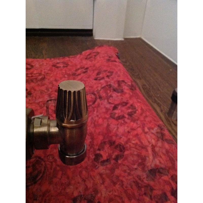 Cast iron 4 column radiator.