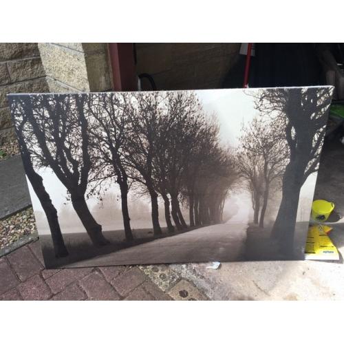 Canvas picture