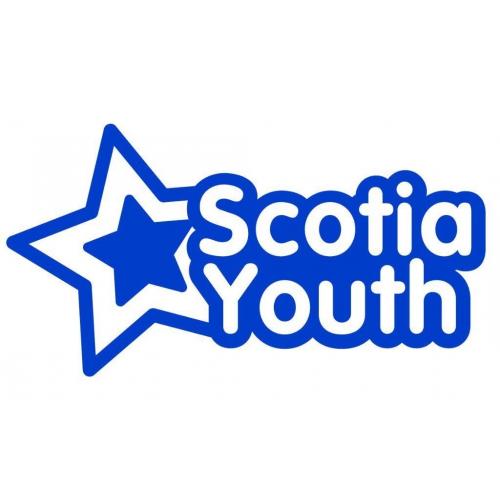 Volunteer Website Designer