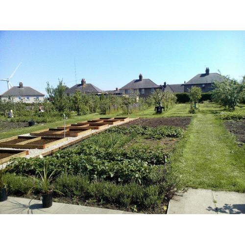 Volunteer & make a difference to Buckhaven and yourself