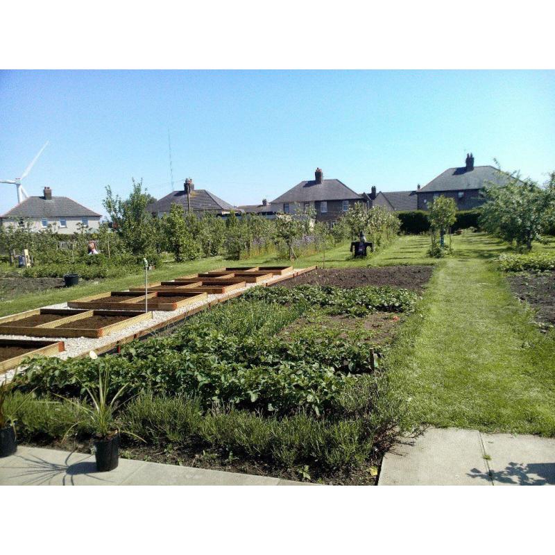 Volunteer & make a difference to Buckhaven and yourself