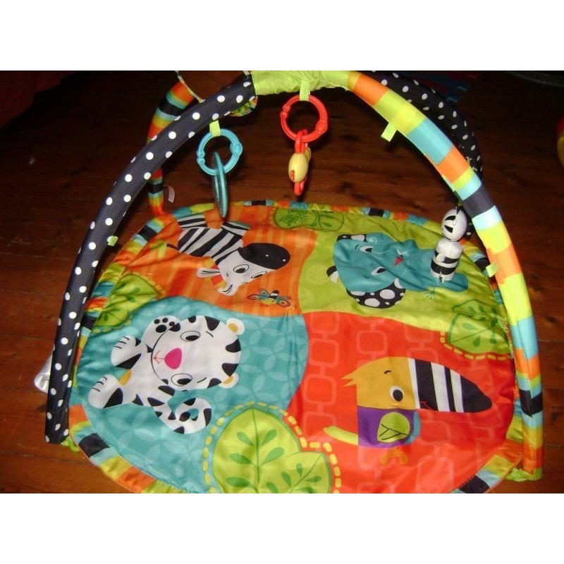 Bright Starts Zoo Tails Play Gym
