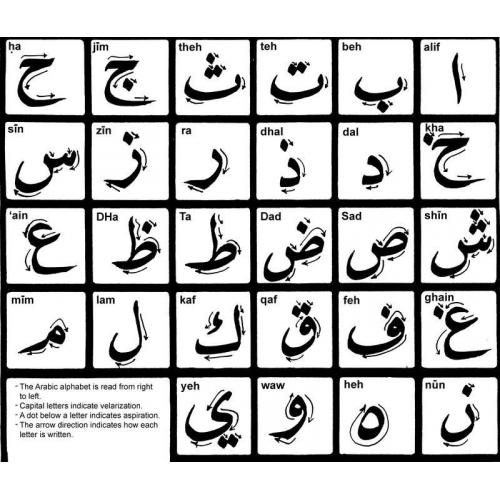 Arabic Teacher and Translator