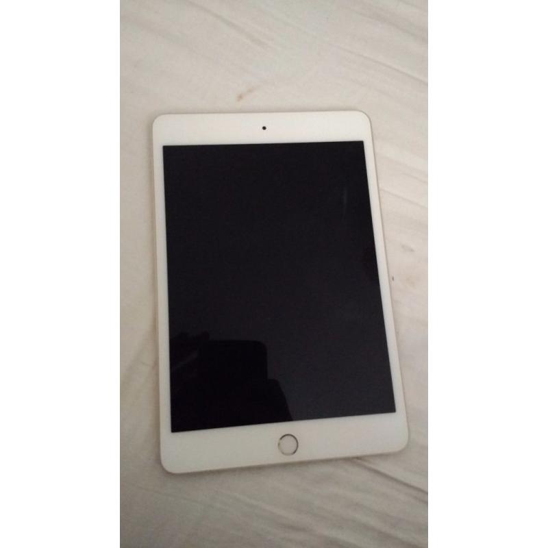 iPad mini 4