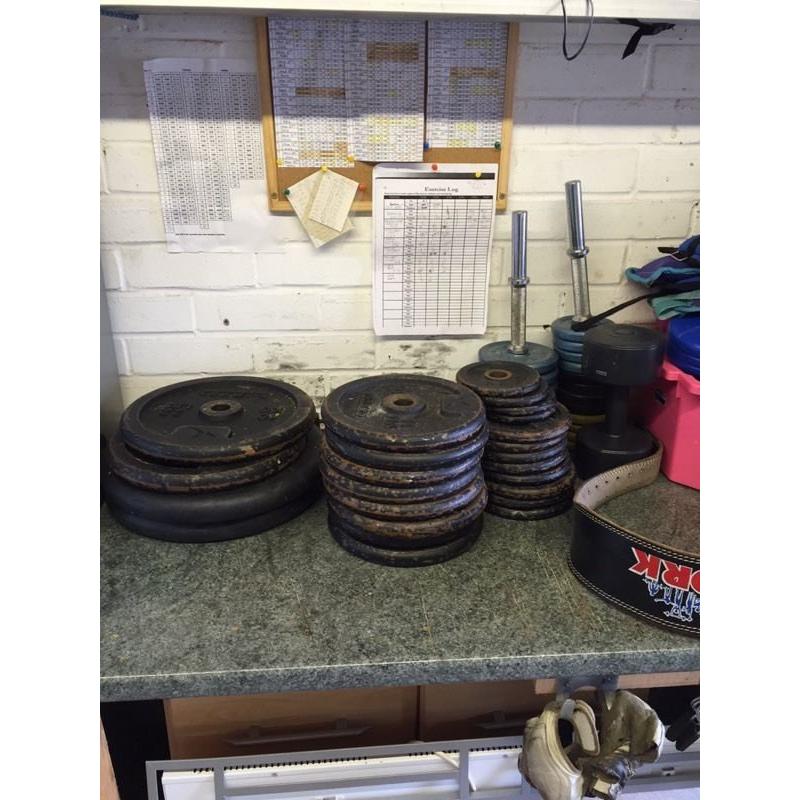 Weights and weight bench.