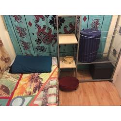 Cosy Room 3 Minutes Walk From Brockley Railway Station.
