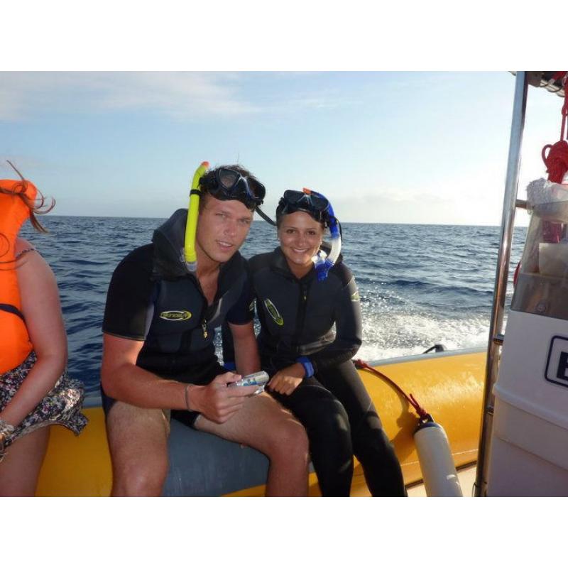 Whale & Dolphin Conservation Project in Tenerife