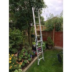 ABRU 3 way ladder