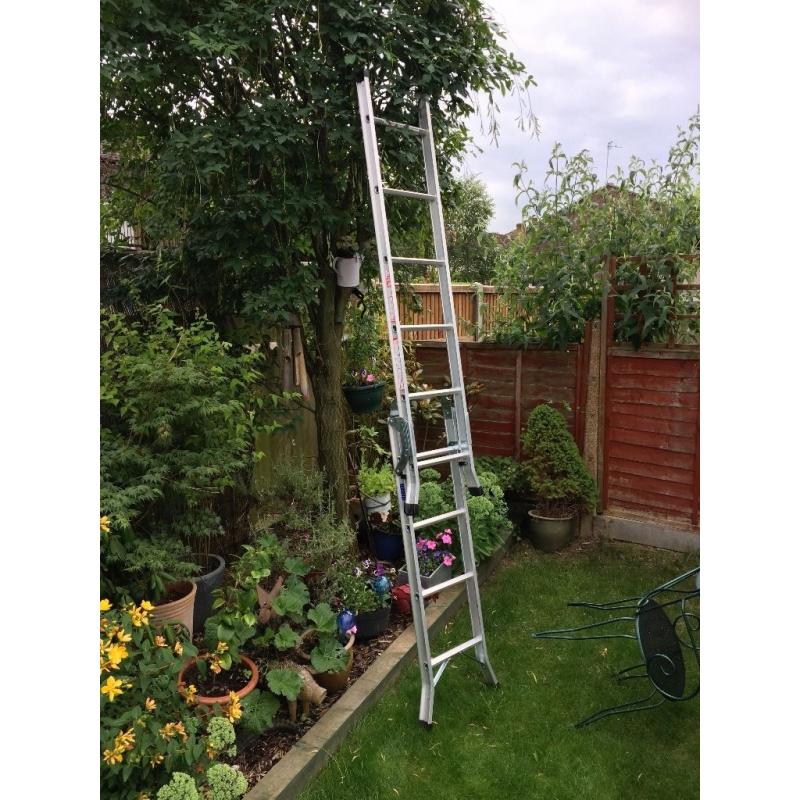 ABRU 3 way ladder