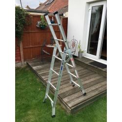 ABRU 3 way ladder