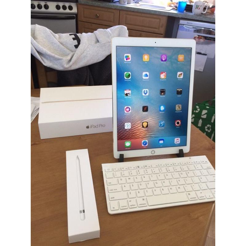 Apple iPad Pro 12.9 plus Apple Extras