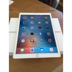 Apple iPad Pro 12.9 plus Apple Extras