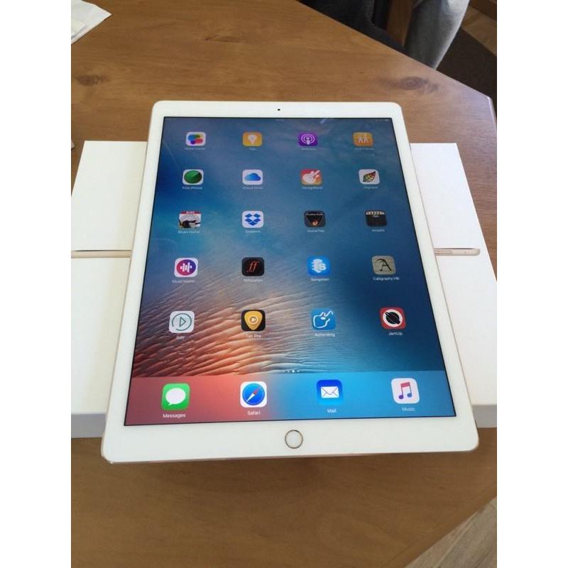 Apple iPad Pro 12.9 plus Apple Extras