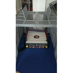 WWE wrestling Hell in a cell