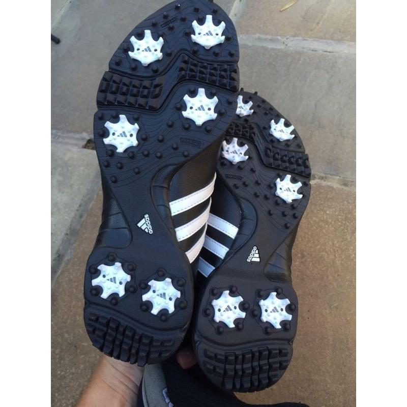 Men's Adidas Golf Shoes