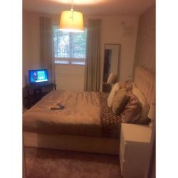 1 bedroom flat exchange Wollaton vale