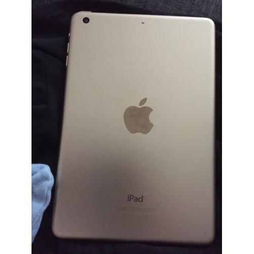 iPad mini 3