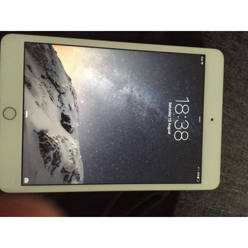 iPad mini 3