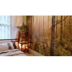 Cosy, clean small double room within flat share. Available to students