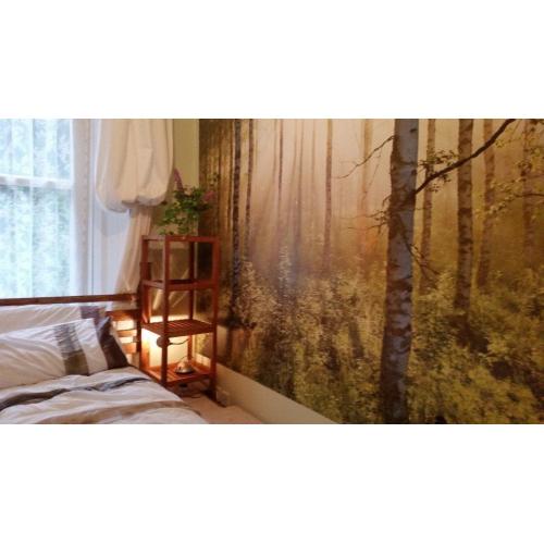 Cosy, clean small double room within flat share. Available to students
