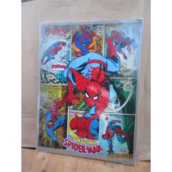 spiderman canvas